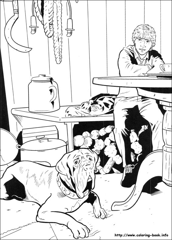 Harry Potter coloring picture